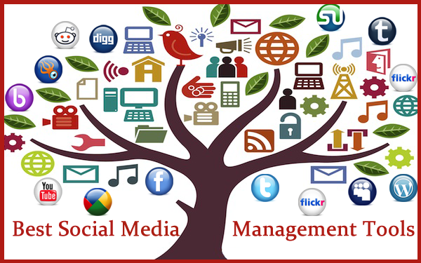 social media management