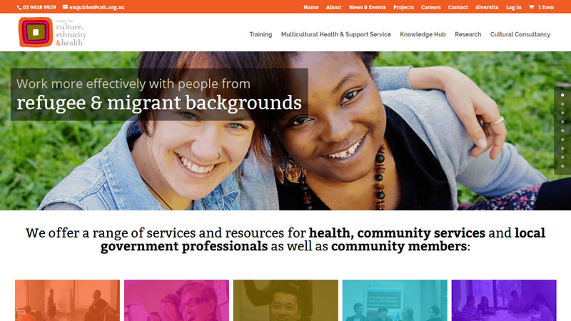 Culture Ethnicity Health